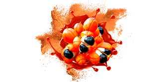 Etanol